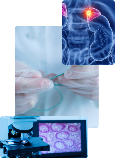 Chemical pathology for any disorders in the body