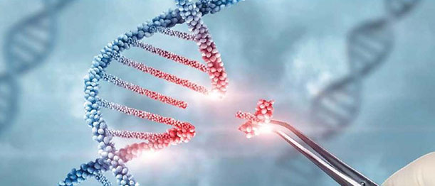 Kinship and Familial DNA Testing