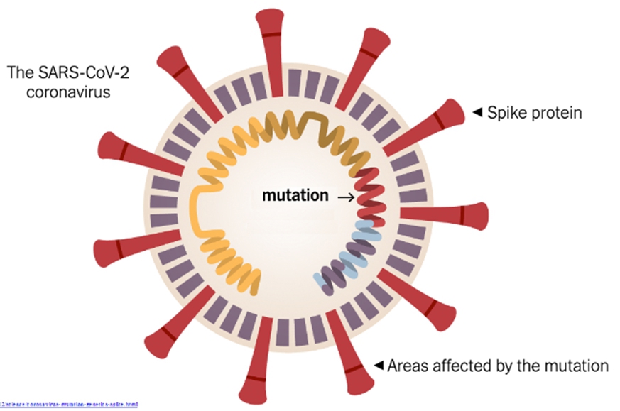 Coronavirus