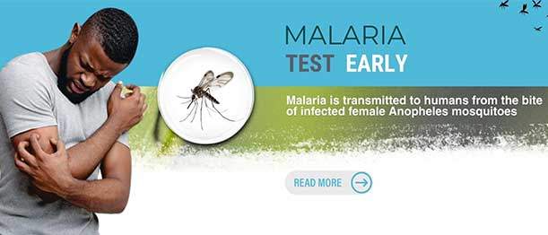 Malaria, Test Early!