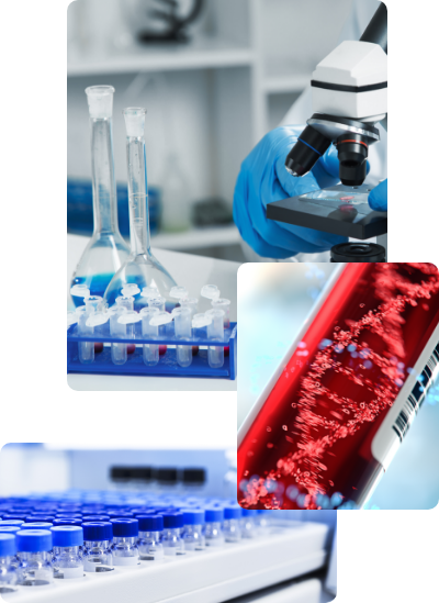 Molecular biology services