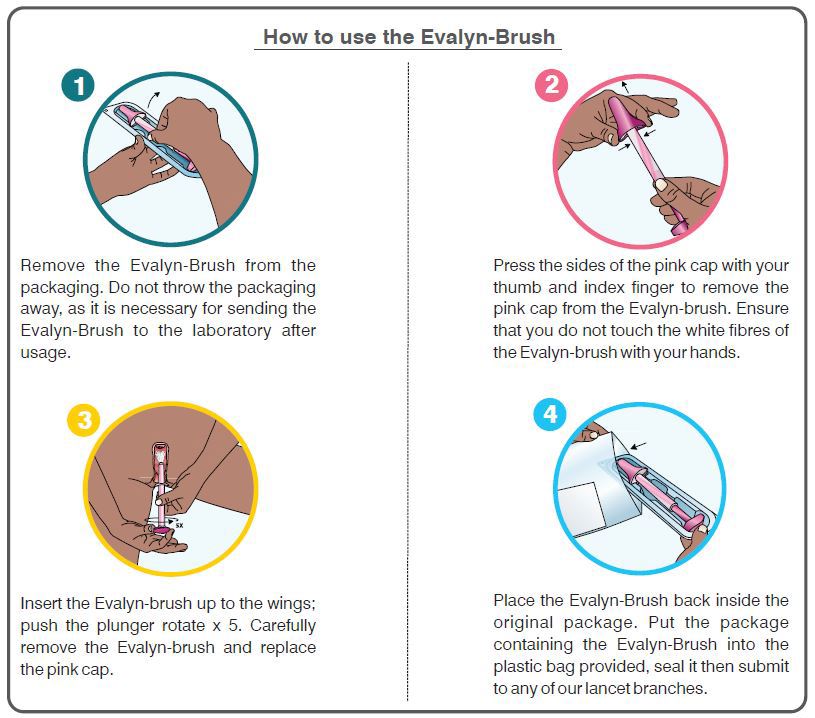 How to use the Evelyn Brush